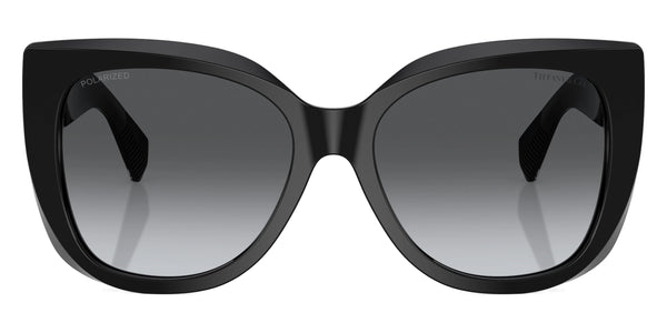 Black / Polarized Gray Gradient / 55-17-140