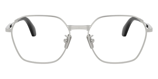 Shiny Silver / 52-17-145