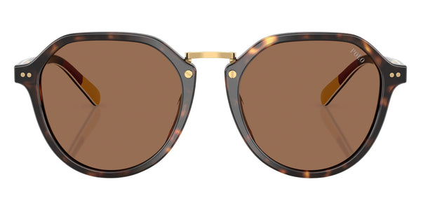 Shiny Dark Havana/Stripes Tricolor / Dark Brown / 53-19-145