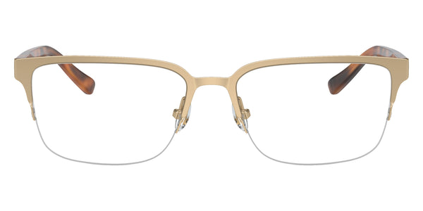 Matte Light Gold/Warm Tortoise / 55-17-145