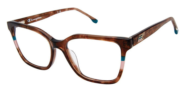 Tortoise / 53-16-138