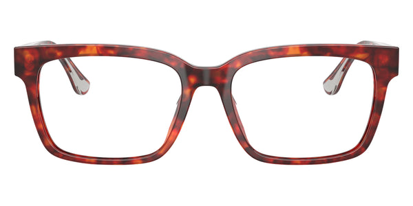 Brown Tortoise / 53-17-145