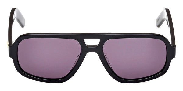 Shiny Black / Smoke / 55-16-145