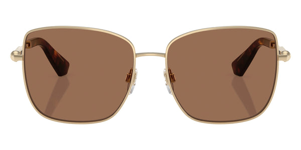 Light Gold / Dark Brown / 58-16-145