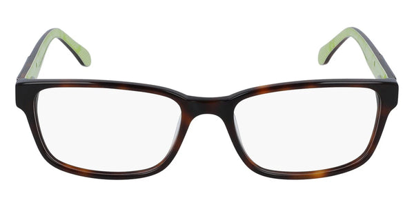 Tortoise / 54-17-140