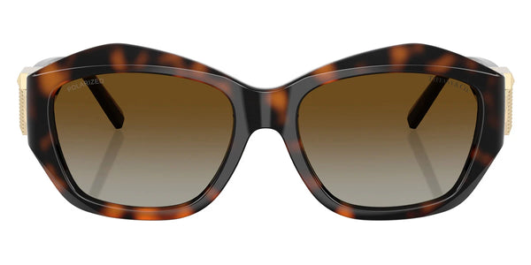 Havana / Polarized Brown Gradient / 54-17-135