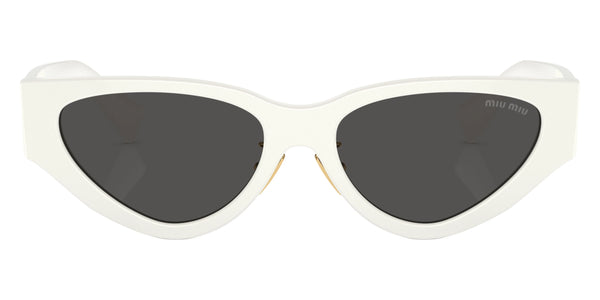 White / Dark Gray / 54-17-140