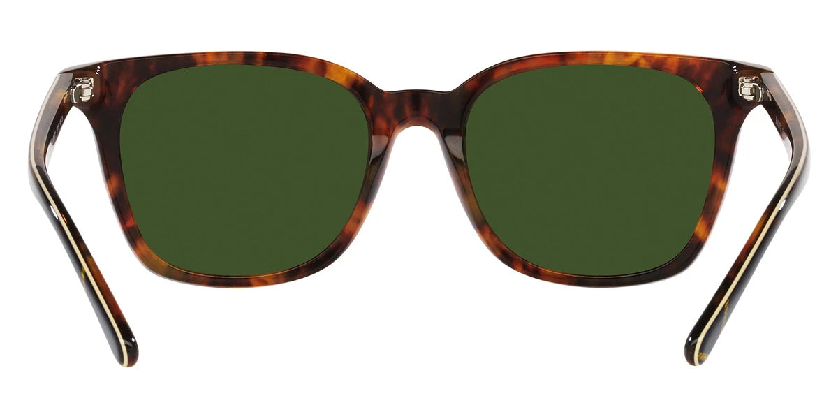 POLO RALPH LAUREN - PH4187F