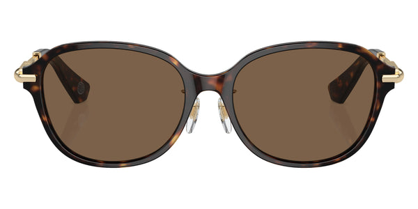 Dark Havana/Light Gold / Dark Brown / 56-17-140