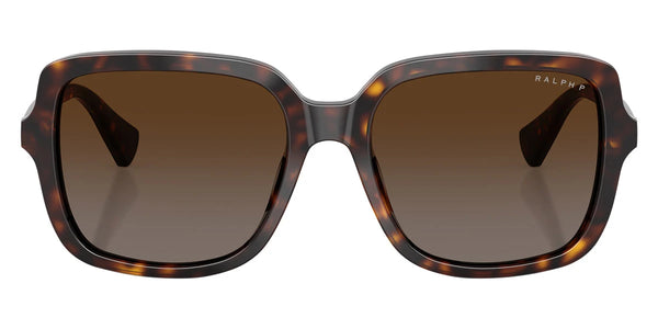 Shiny Dark Havana / Polarized Brown Gradient / 56-17-145