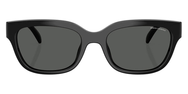 Shiny Black / Dark Gray / 54-19-140