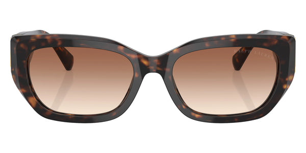 Dark Havana / Brown Gradient / 55-18-145