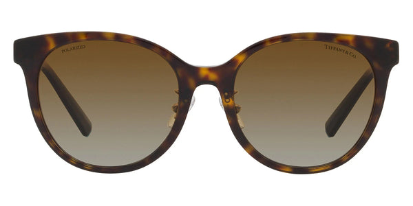 Havana / Polarized Brown Gradient / 54-19-140