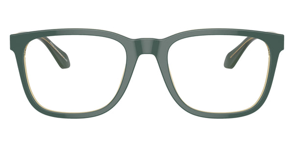 Top Green/Olive Transparent / 53-20-145