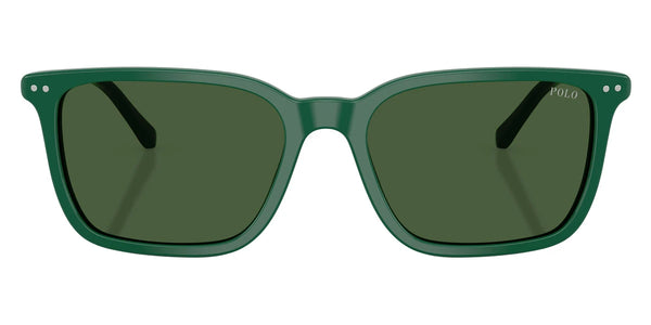 Shiny Green/Orange / Bottle Green / 53-18-145