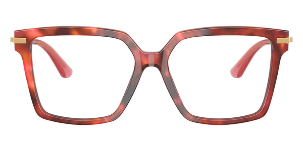 Havana Brown/Gold / 54-16-140