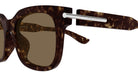 Alexander McQueen AM0496SA 002 54 - Havana / Brown #id:am0496sa002_s:100110