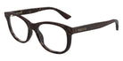 Alexander McQueen AM0568O 008 53 - Havana #id:am0568o008_s:100105