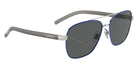 ARNETTE AN3087 Walvis 755/81 59 - Silver/Blue / Polarized Gray #id:an308775581_s:102120