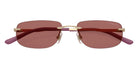 ARNETTE AN3096 748/69 55 - Light Gold #id:an309674869_s:106125
