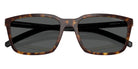 ARNETTE AN4311 295681 56 - Havana / Dark Gray Polarized #id:an4311295681_s:104125