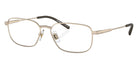 ARNETTE AN6133 Loopy-Doopy 751 55 - Matte Light Gold #id:an6133751_s:100105