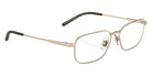 ARNETTE AN6133 Loopy-Doopy 751 55 - Matte Light Gold #id:an6133751_s:100120