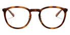 ARNETTE AN7193 Tiki 2675 49 - Havana Brown #id:an71932675_s:100100