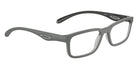 ARNETTE AN7283 Raysin 3009 53 - Gray/Transparent Gray #id:an72833009_s:100120