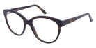 Andy Wolf 5130 02 55 - Brown #id:anw513002_s:100105