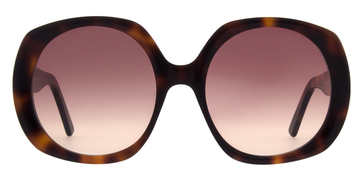 Andy Wolf Paris Sun 02 56 - Brown/Red #id:anwparissun02_s:102100