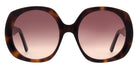 Andy Wolf Paris Sun 02 56 - Brown/Red #id:anwparissun02_s:102100