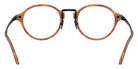 GIORGIO ARMANI AR7287 6404 48 - Brown Turtle #id:ar72876404_s:112115