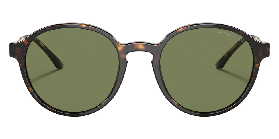 GIORGIO ARMANI AR8160 50262A 51 - Havana / Green #id:ar816050262a_s:100100