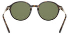 GIORGIO ARMANI AR8160 50262A 51 - Havana / Green #id:ar816050262a_s:100115