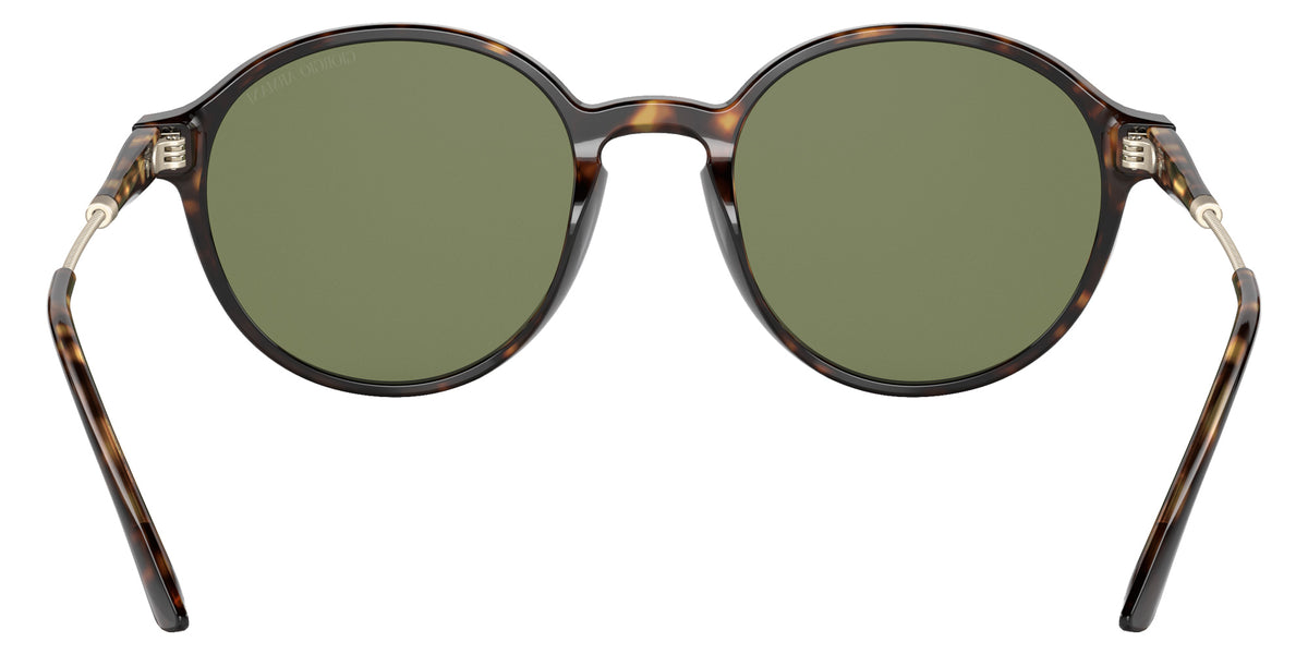 GIORGIO ARMANI AR8160 50262A 51 - Havana / Green #id:ar816050262a_s:100115