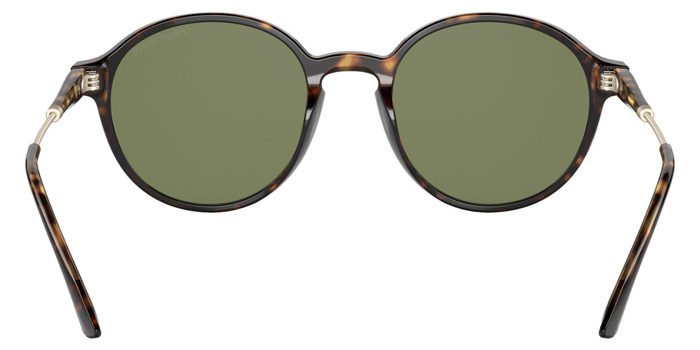 GIORGIO ARMANI AR8160 50262A 51 - Havana / Green #id:ar816050262a_s:100115