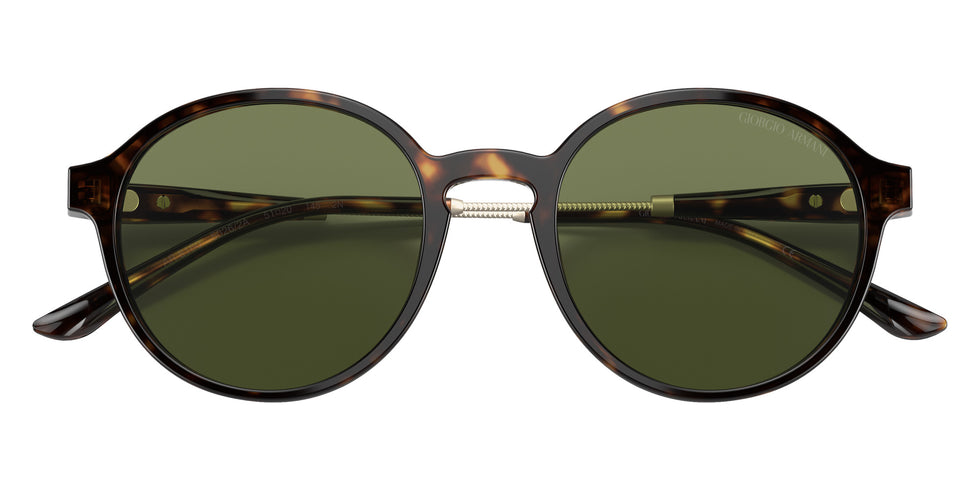 GIORGIO ARMANI AR8160 50262A 51 - Havana / Green #id:ar816050262a_s:100120