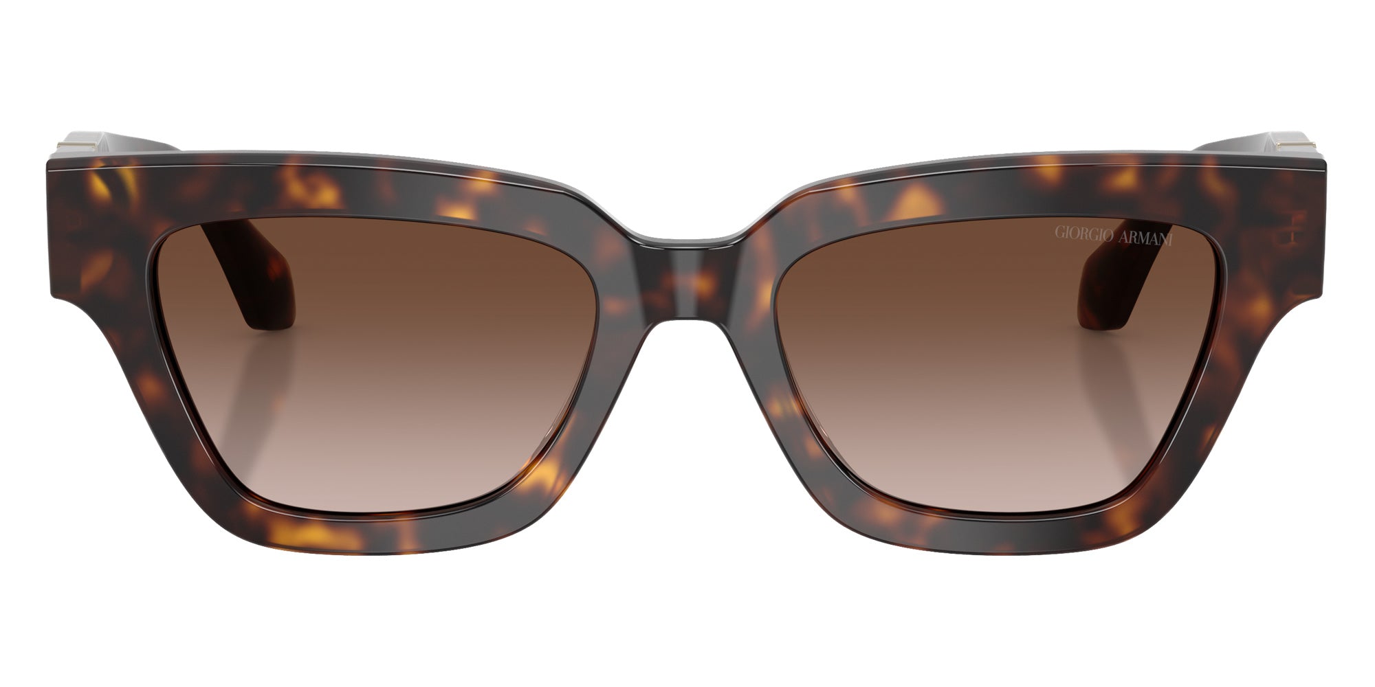 GIORGIO ARMANI AR8246U 587913 50 - Havana / Gradient Brown #id:ar8246u587913_s:102100
