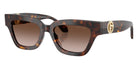 GIORGIO ARMANI AR8246U 587913 50 - Havana / Gradient Brown #id:ar8246u587913_s:102105