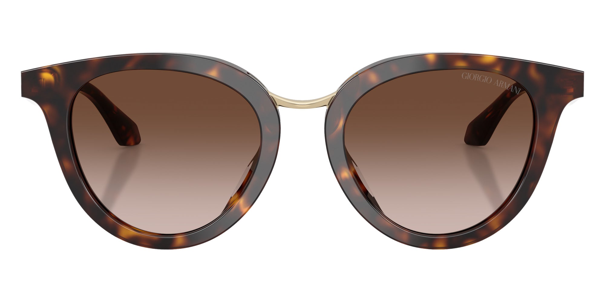 GIORGIO ARMANI AR8252U 612413 49 - Havana #id:ar8252u612413_s:102120