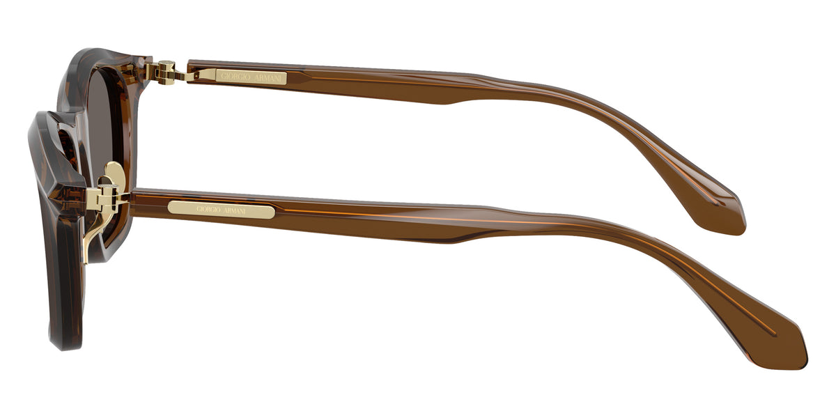 GIORGIO ARMANI AR8257 642453 48 - Transparent Dark Brown / Dark Brown #id:ar8257642453_s:104110