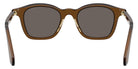 GIORGIO ARMANI AR8257 642453 48 - Transparent Dark Brown / Dark Brown #id:ar8257642453_s:104115