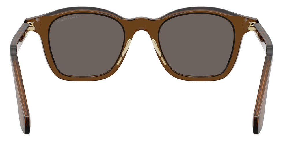 GIORGIO ARMANI AR8257 642453 48 - Transparent Dark Brown / Dark Brown #id:ar8257642453_s:104115
