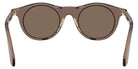 GIORGIO ARMANI AR8258 642073 47 - Transparent Brown / Brown #id:ar8258642073_s:102115