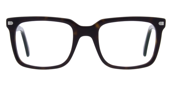 Brown/Silver / 54-20-145