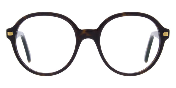 Brown/Gold / 53-18-140