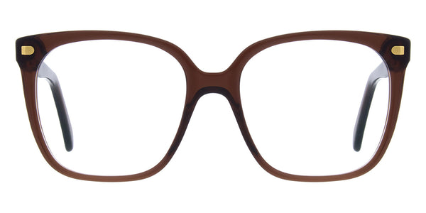 Brown/Gold / 56-17-140