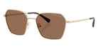 ARMANI EXCHANGE AX2062S 611013 54 - Shiny Pale Gold / Dark Brown #id:ax2062s611013_s:104105