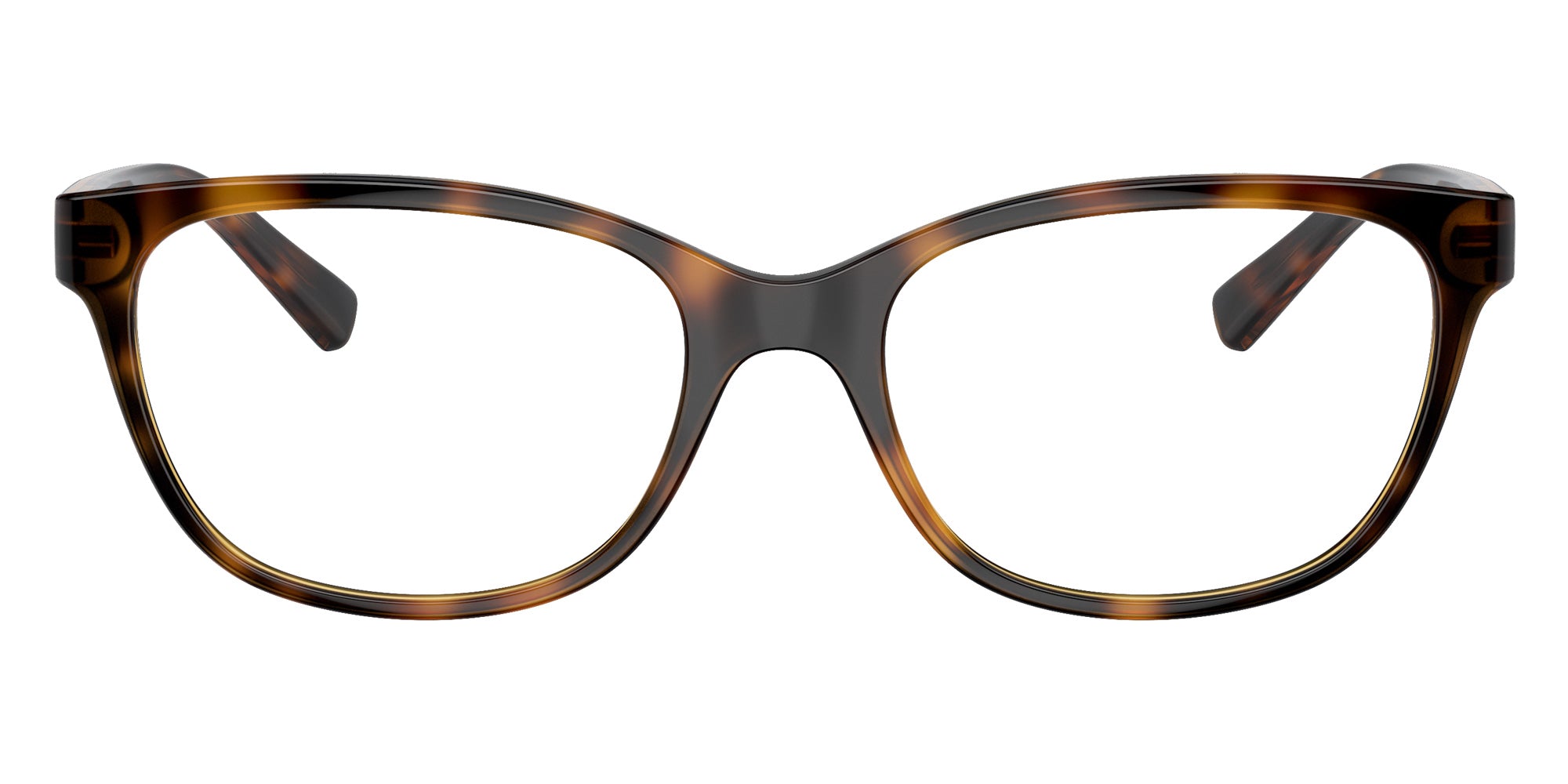 ARMANI EXCHANGE AX3037 8037 53 - Shiny Havana #id:ax30378037_s:100100